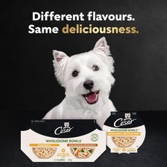 Cesar slow-cooked aroma enhances mealtime appeal for dogs