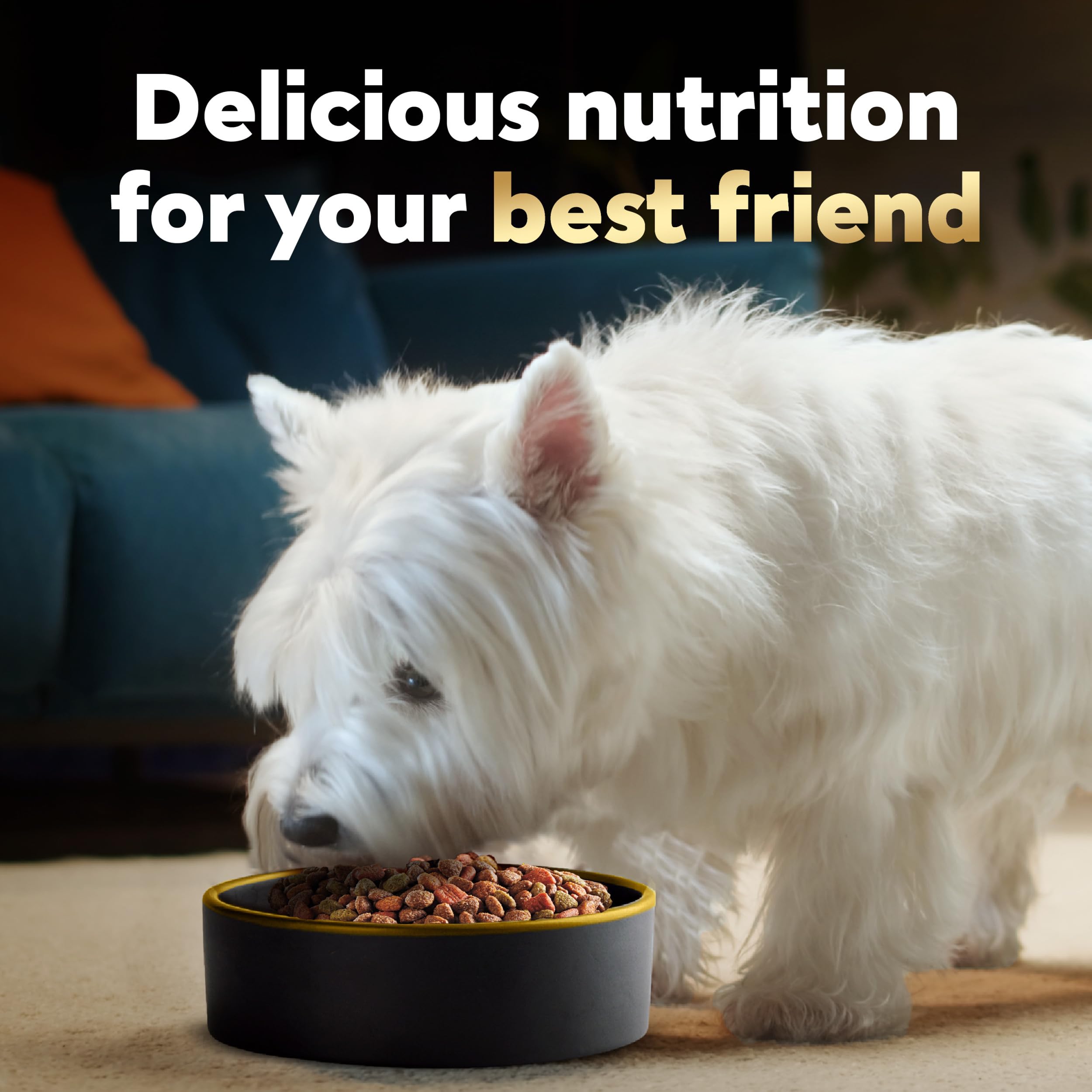 Cesar small breed recipe made in the USA with global ingredients
