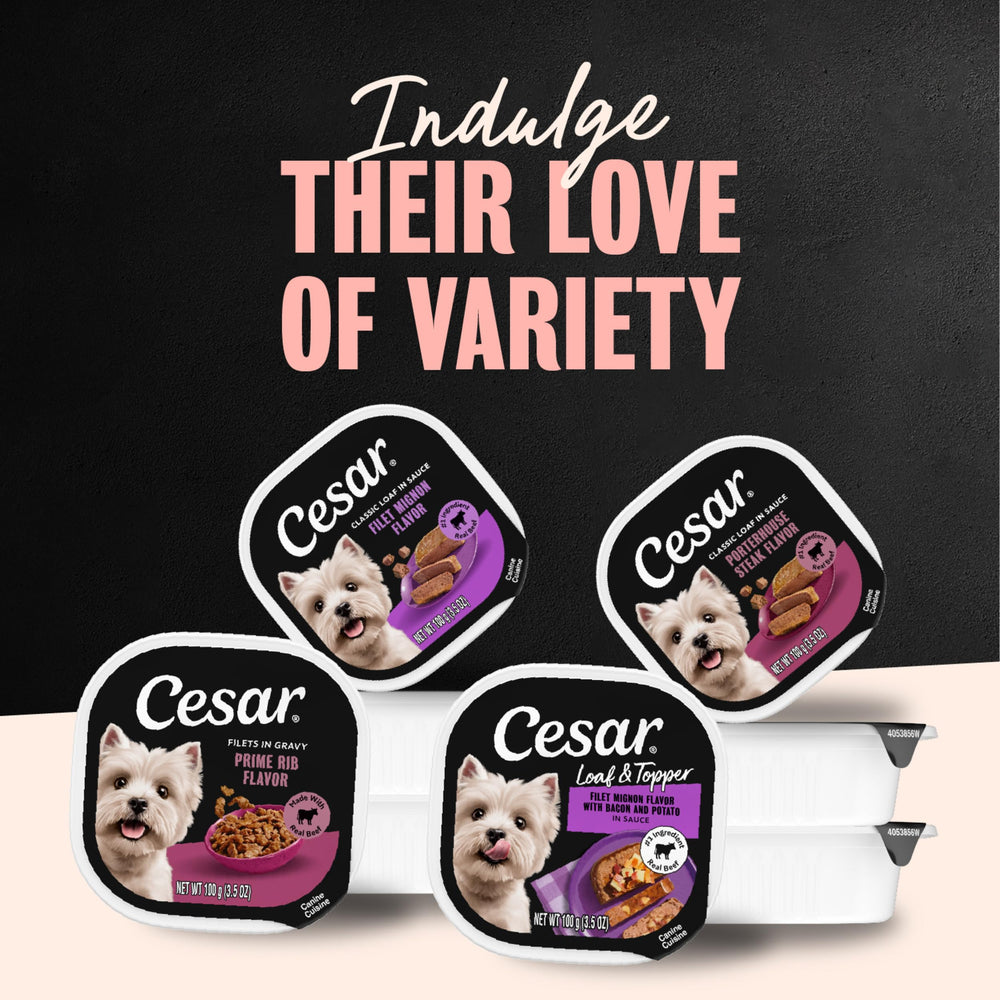 Cesar Steak Lovers toppers pair with dry kibble for extra flavor.
