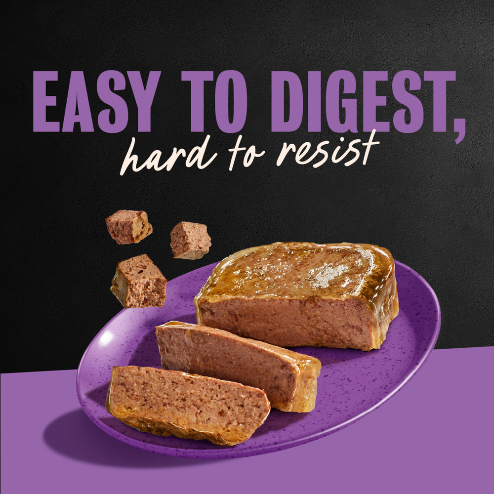 Topper option for adding flavor to dry kibble