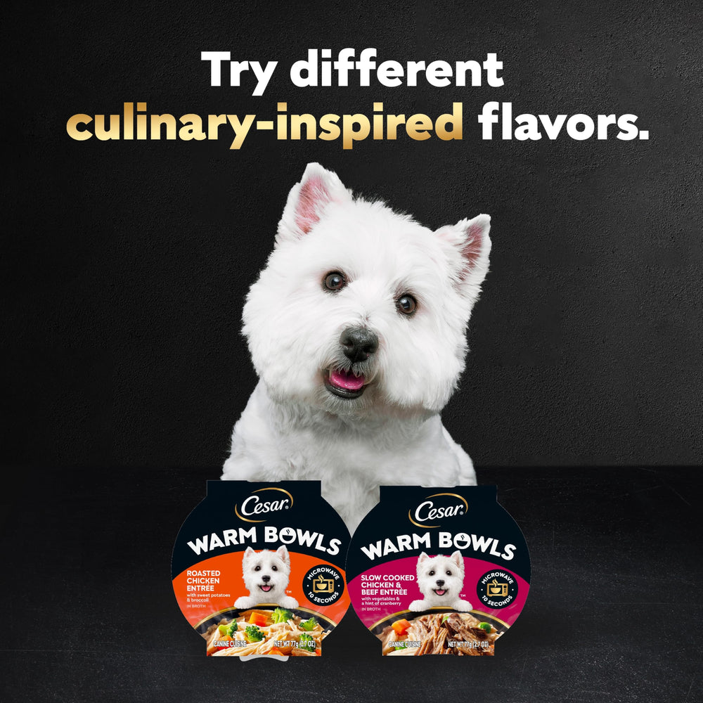 Cesar Warm Bowls rich broth enhances flavor and aroma