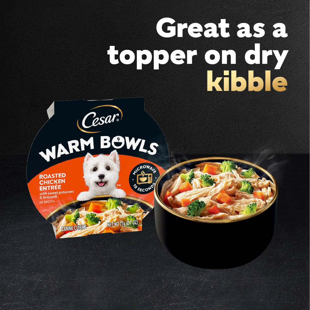 Cesar Warm Bowls aroma during mealtime appealing to dogs.