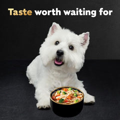 Cesar Warm Bowls ingredients emphasis real chicken and vegetables for dogs.