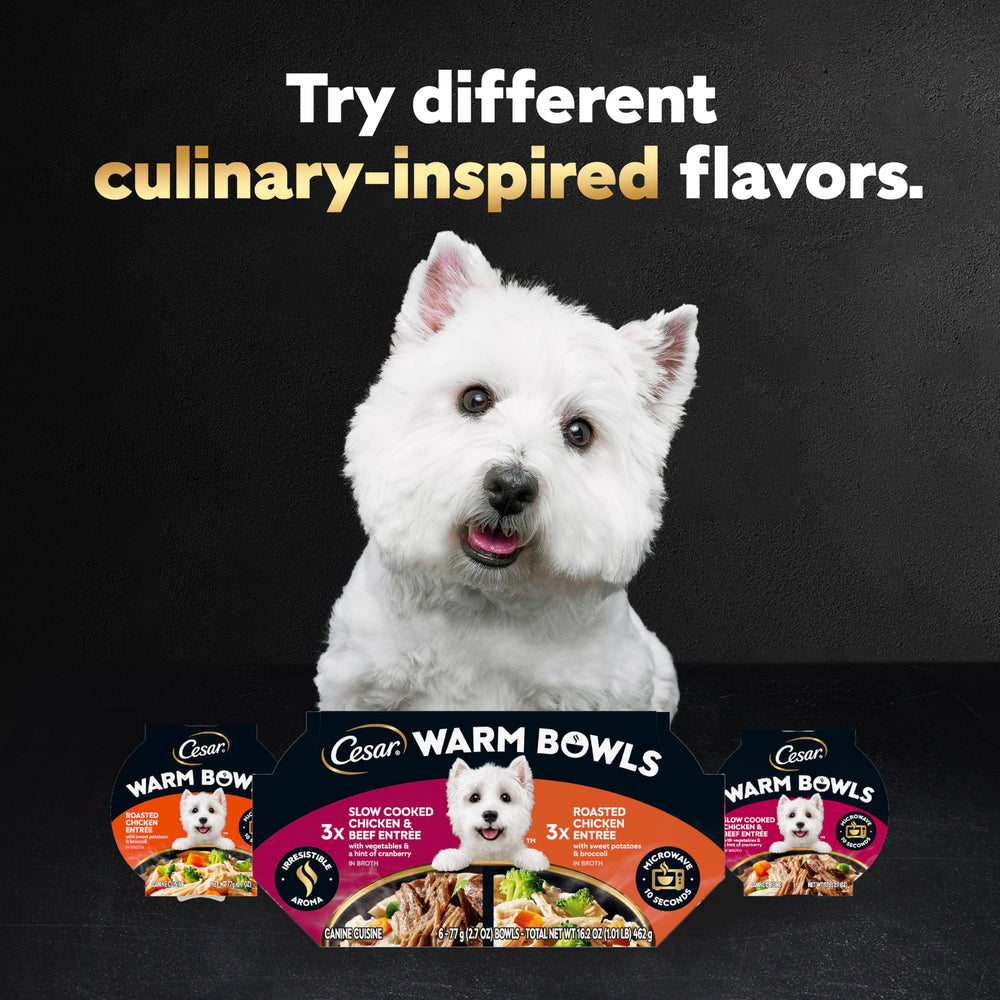 Cesar Warm Bowls served with vegetables enhances color and texture at mealtime.