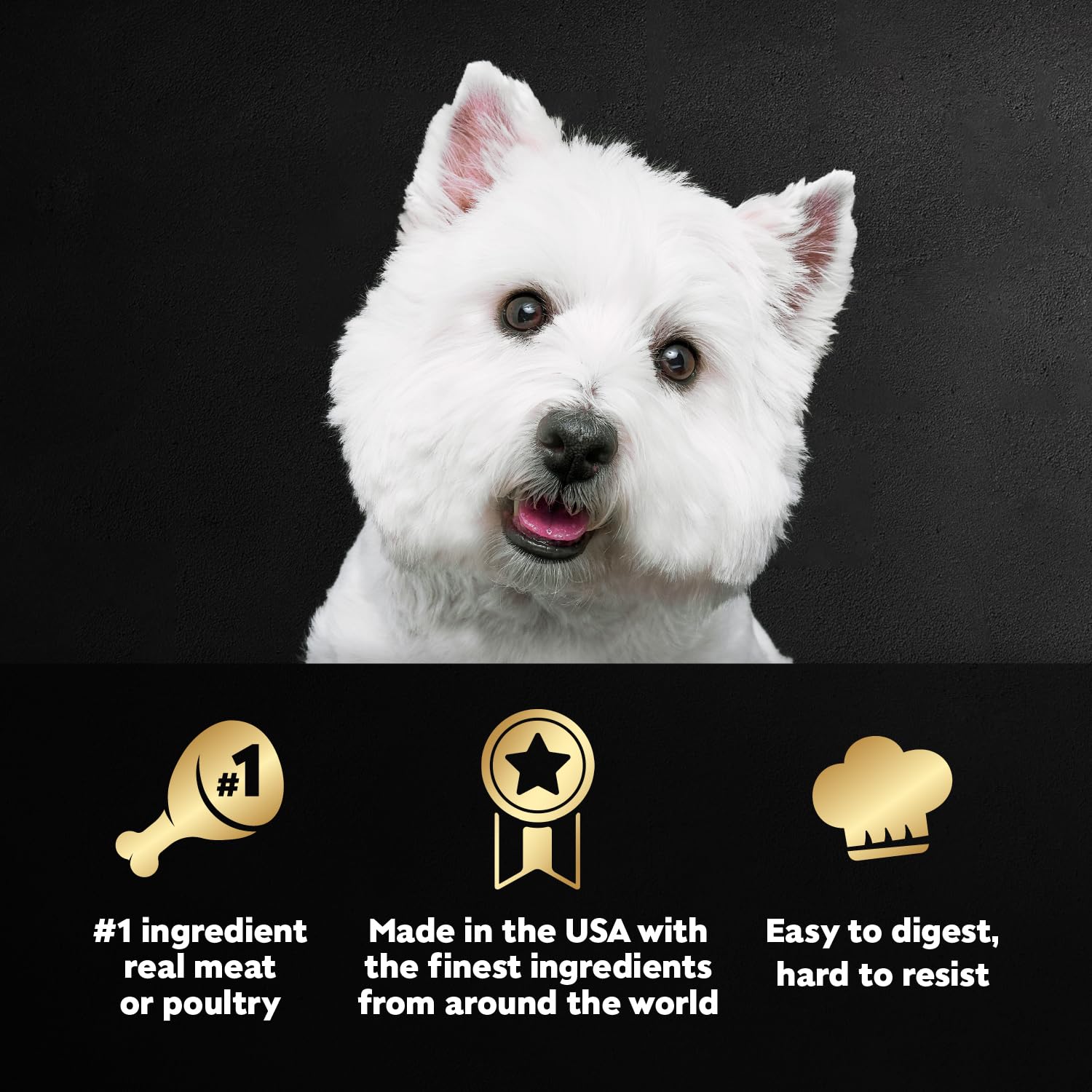 Cesar Filet Mignon Loaf in Sauce tray, tender protein for adult dogs.
