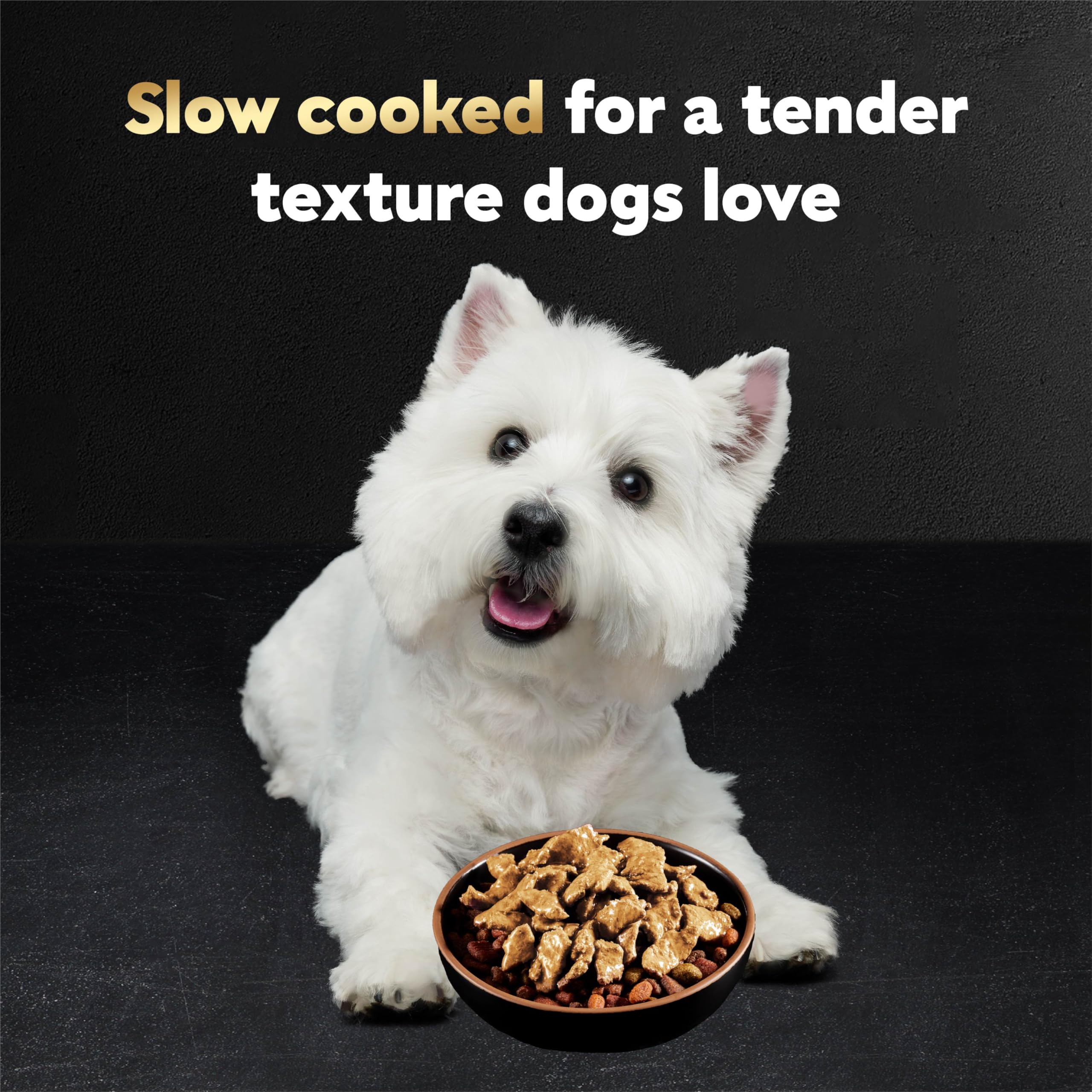Cesar Wet Dog Food Mini-Pouches close-up highlights convenient peel-and-serve packaging