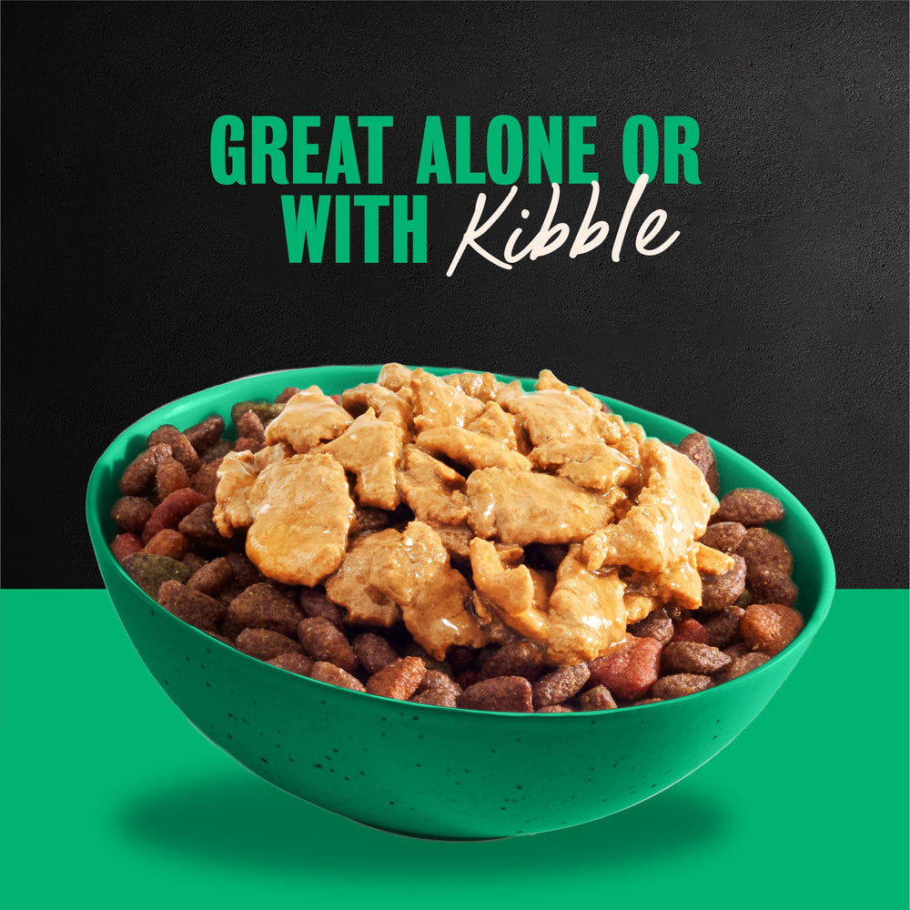 Cesar wet dog food turkey recipe bowl presentation with natural flavors