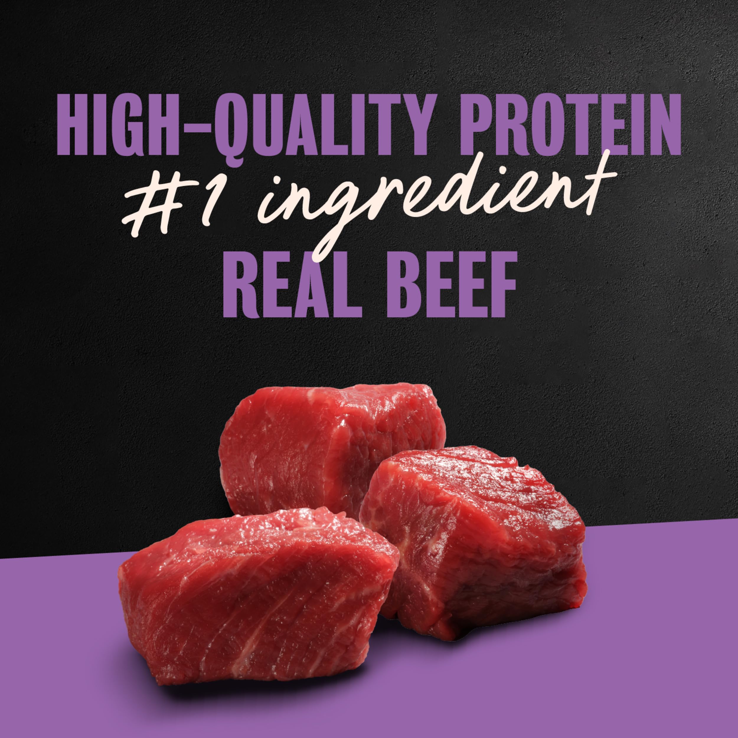 Cesar Wet Dog Food USA made with beef ingredient label visible for quality reassurance