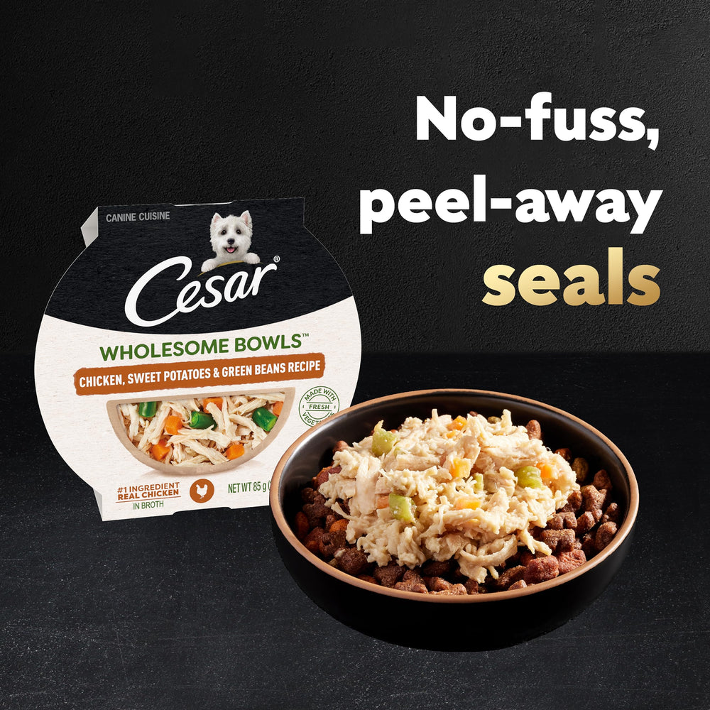Cesar Wholesome Bowls adult dog meal graphic emphasizing complete nutrition