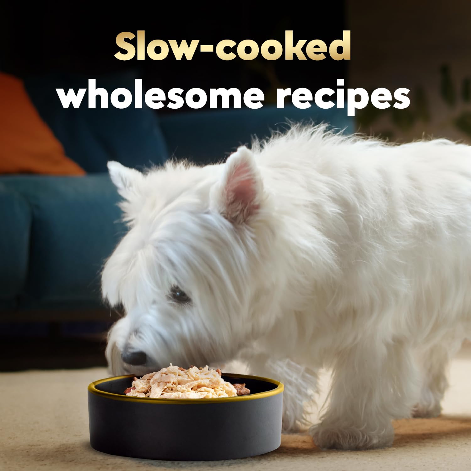 Cesar Wholesome Bowls real-chicken ingredients close-up showing seven nutrient-rich elements.