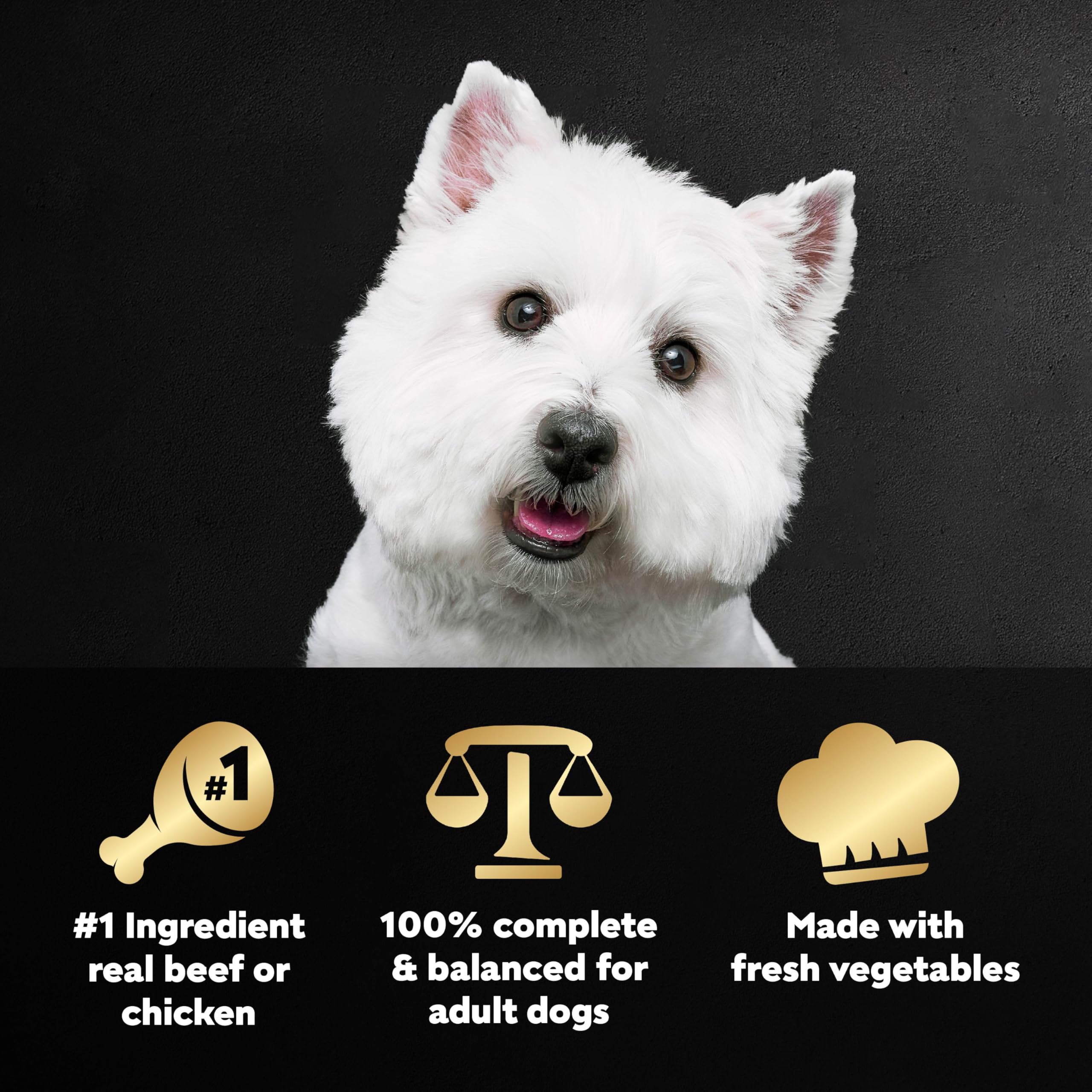 Cesar Wholesome Bowls chicken ready-to-serve, wholesome meal for adult dogs