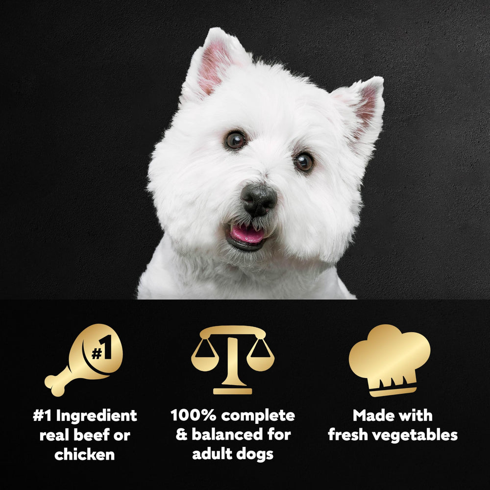 Cesar Wholesome Bowls chicken ready-to-serve, wholesome meal for adult dogs