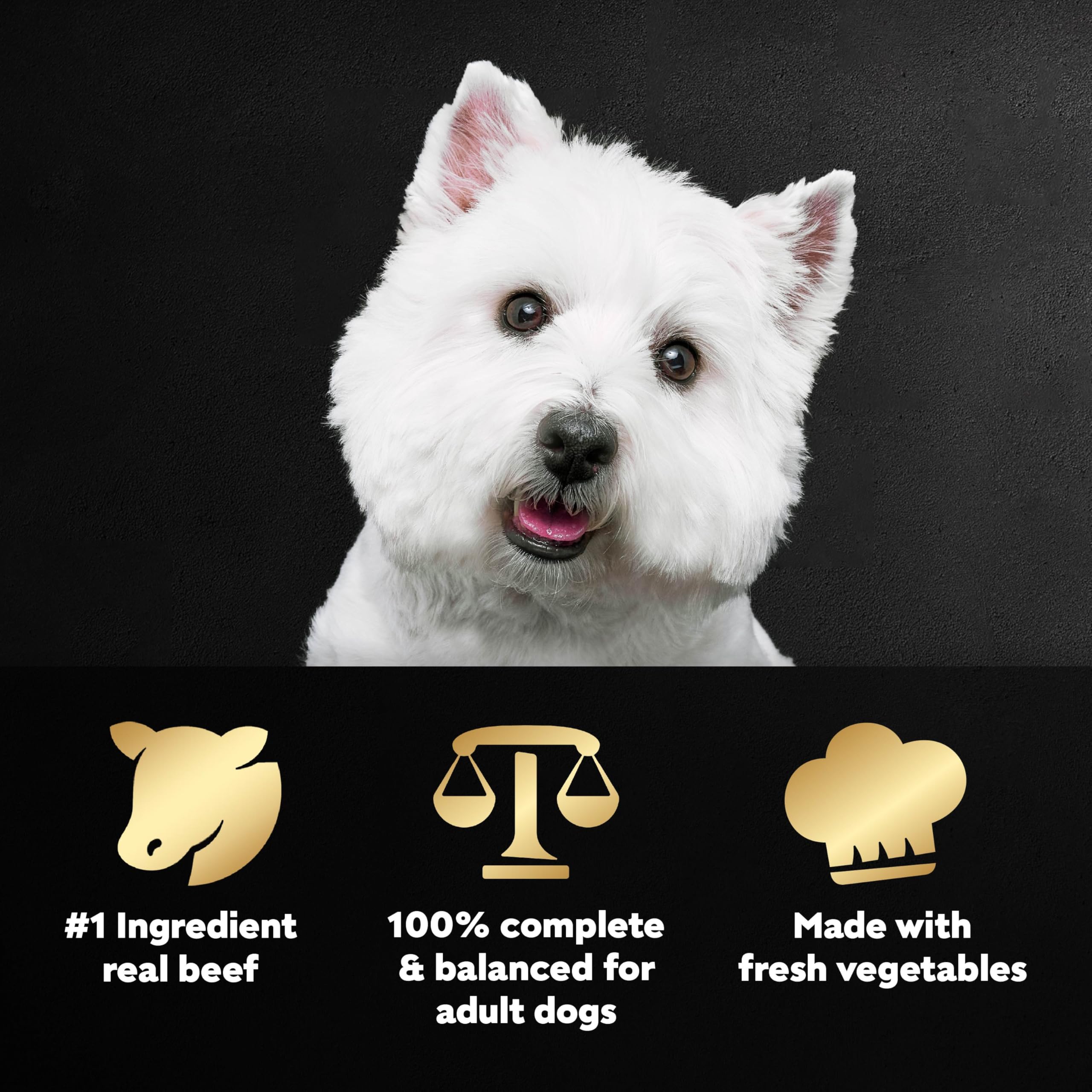 Cesar Wholesome Bowls chicken with vegetables in bowl for balanced canine nutrition