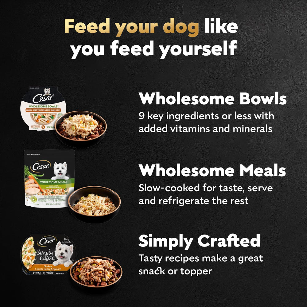 Cesar Wholesome Bowls mealtime joy for dogs