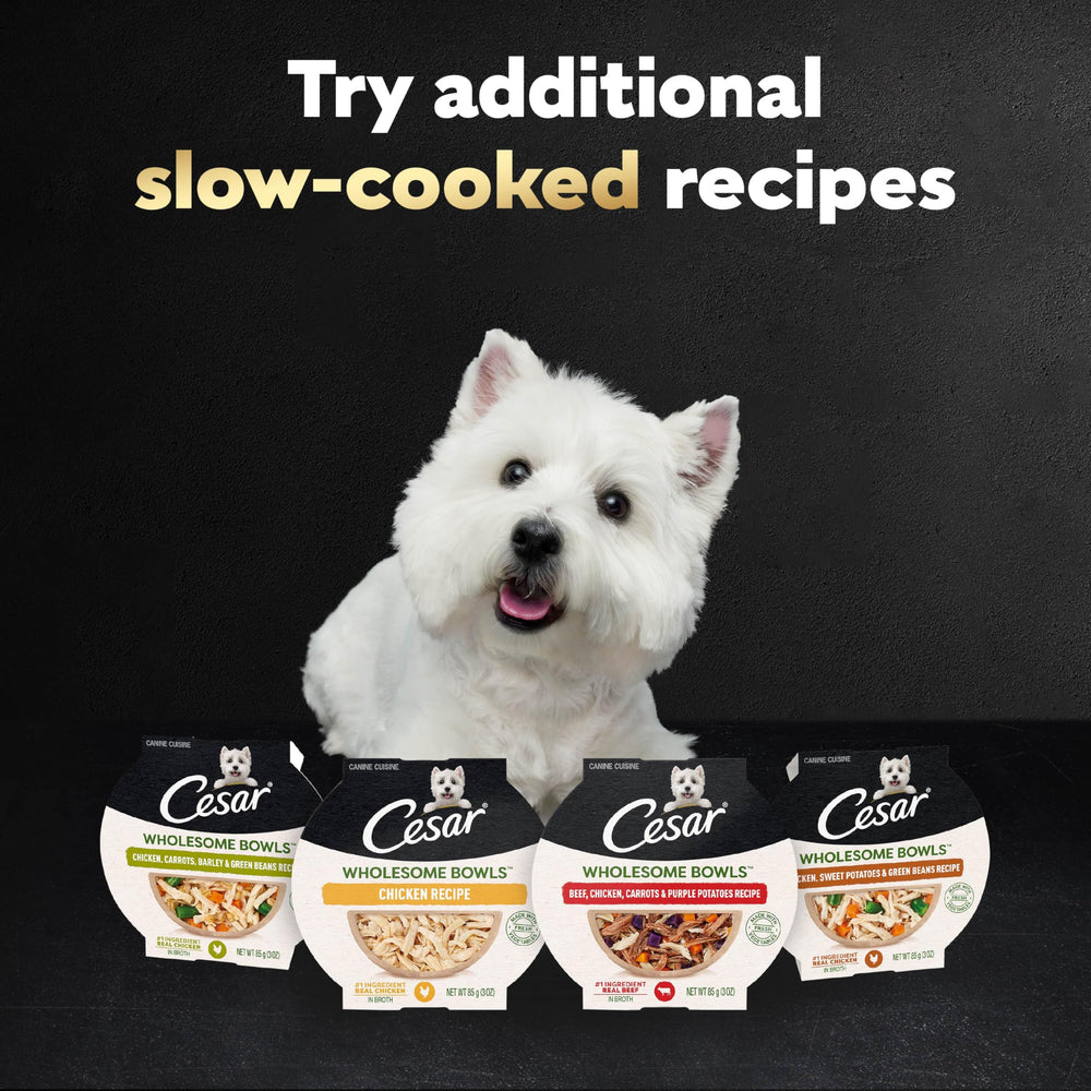 Cesar Wholesome Bowls natural ingredients label highlights no by-products.