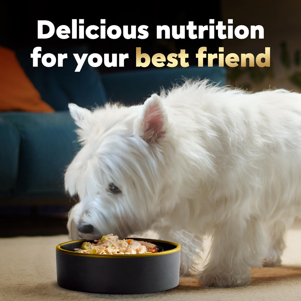 Cesar Wholesome Bowls packaging front showcasing trusted brand