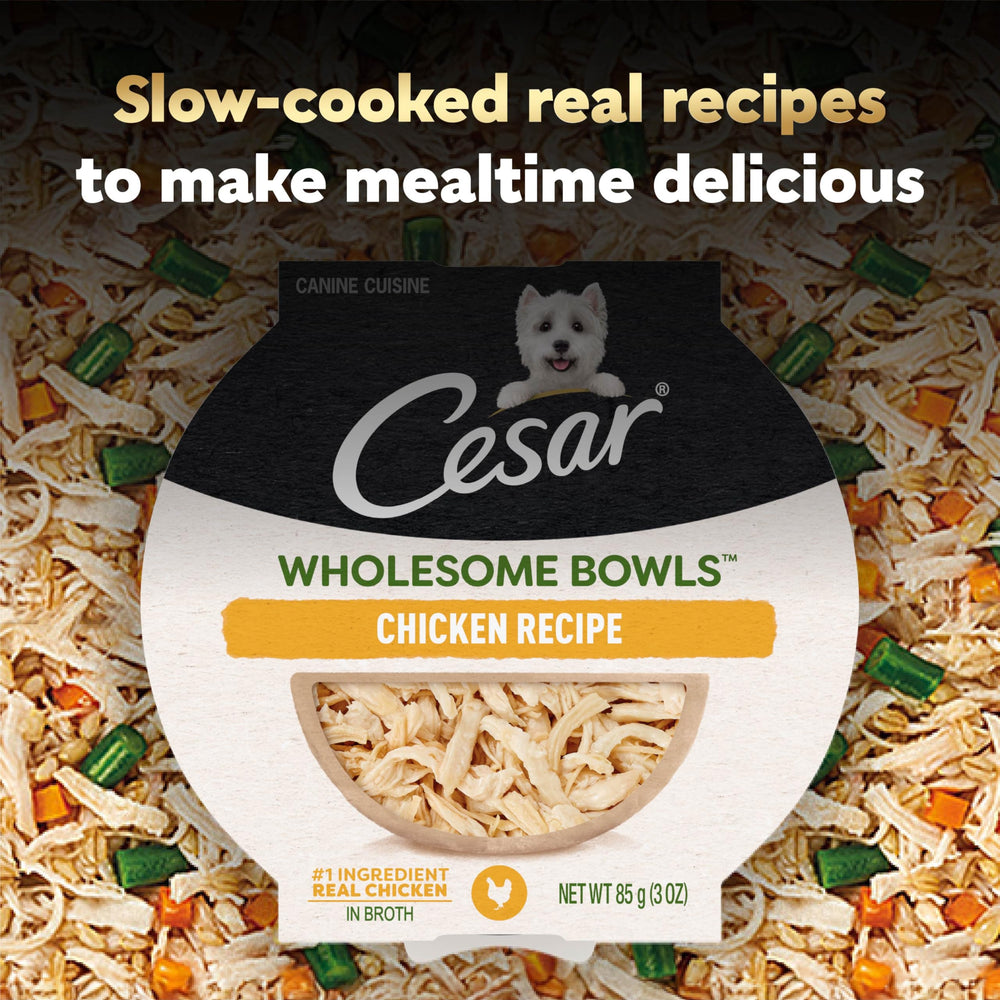 Cesar Wholesome Bowls single-serve bowl demonstrates convenient daily meals.