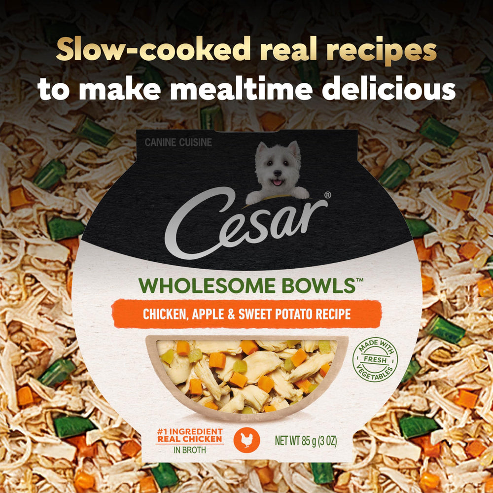 Cesar Wholesome Bowls slow-cooked flavor aroma in bowl