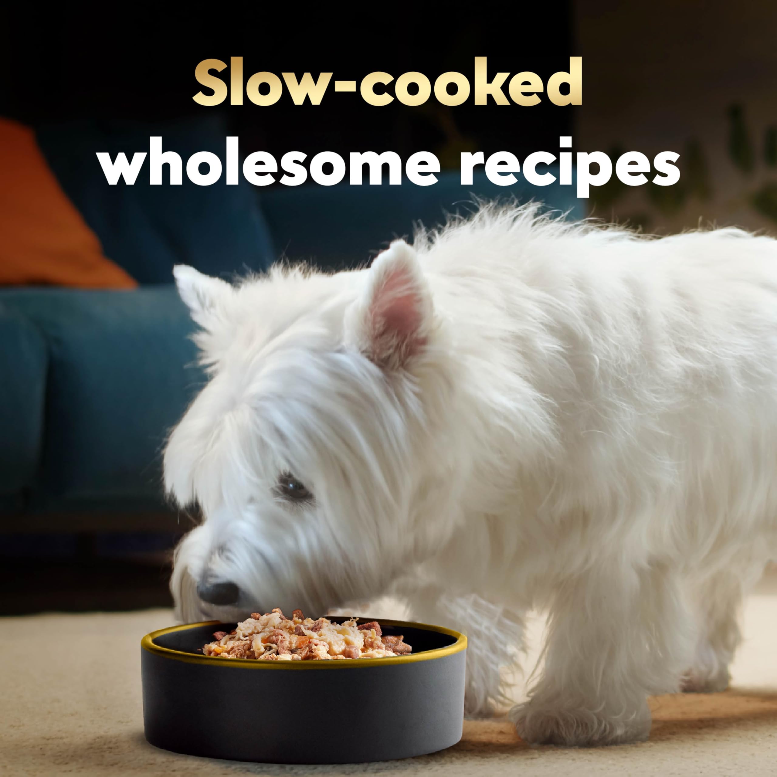 Cesar Wholesome Bowls veggies and meat, balanced nutrition from real ingredients