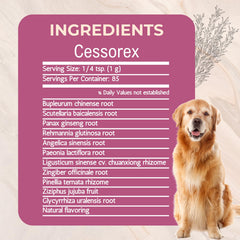 Close-up of bupleurum and herbal blend, highlighting traditional botanicals in Cessorex for balance.