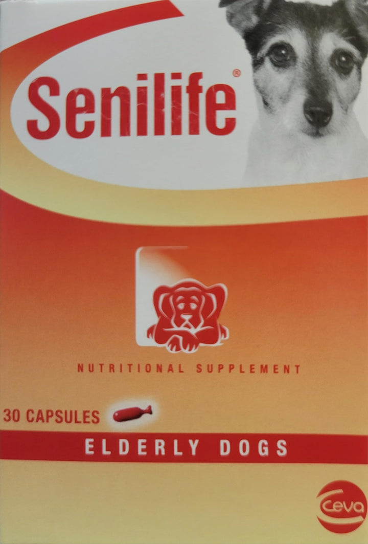 Ceva Senilife box front showing packaging for elderly dogs supporting aging brain health