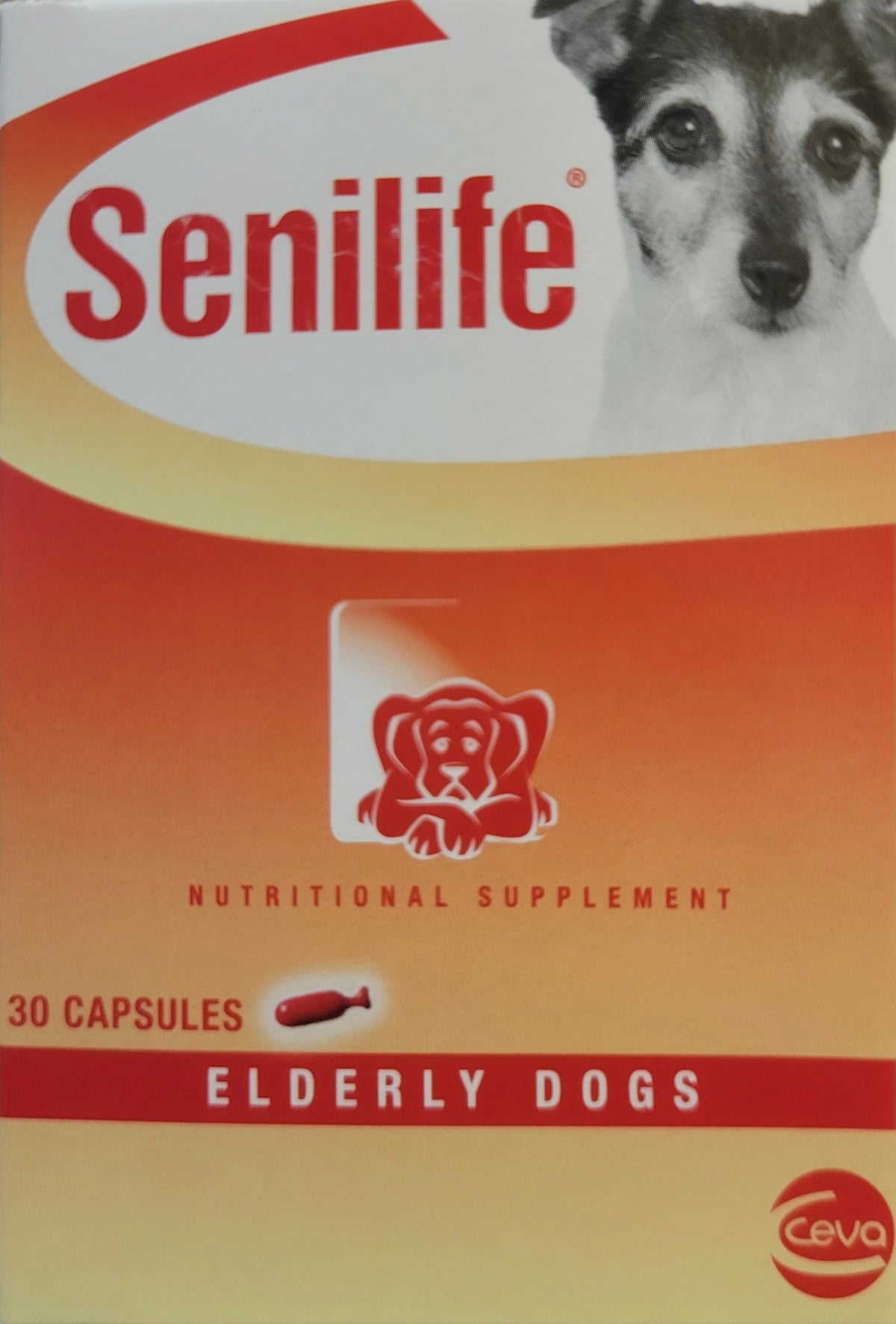 Ceva Senilife box front showing packaging for elderly dogs supporting aging brain health