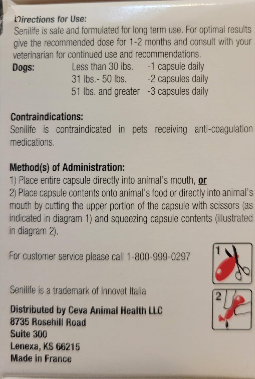 Ceva Senilife capsules close-up highlighting easy daily dosing for older dogs
