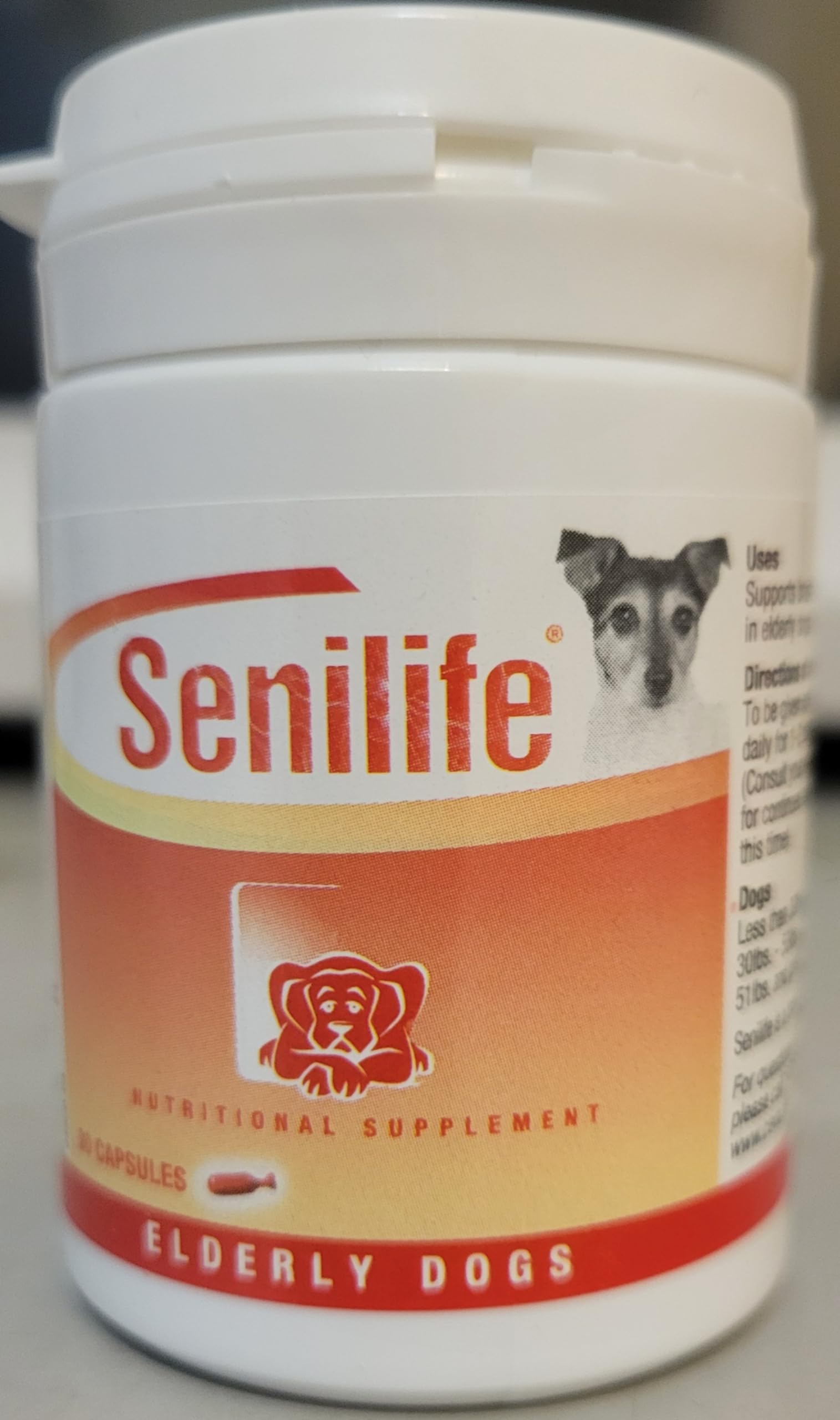 Ceva Senilife helps an elderly dog stay more engaged and energetic