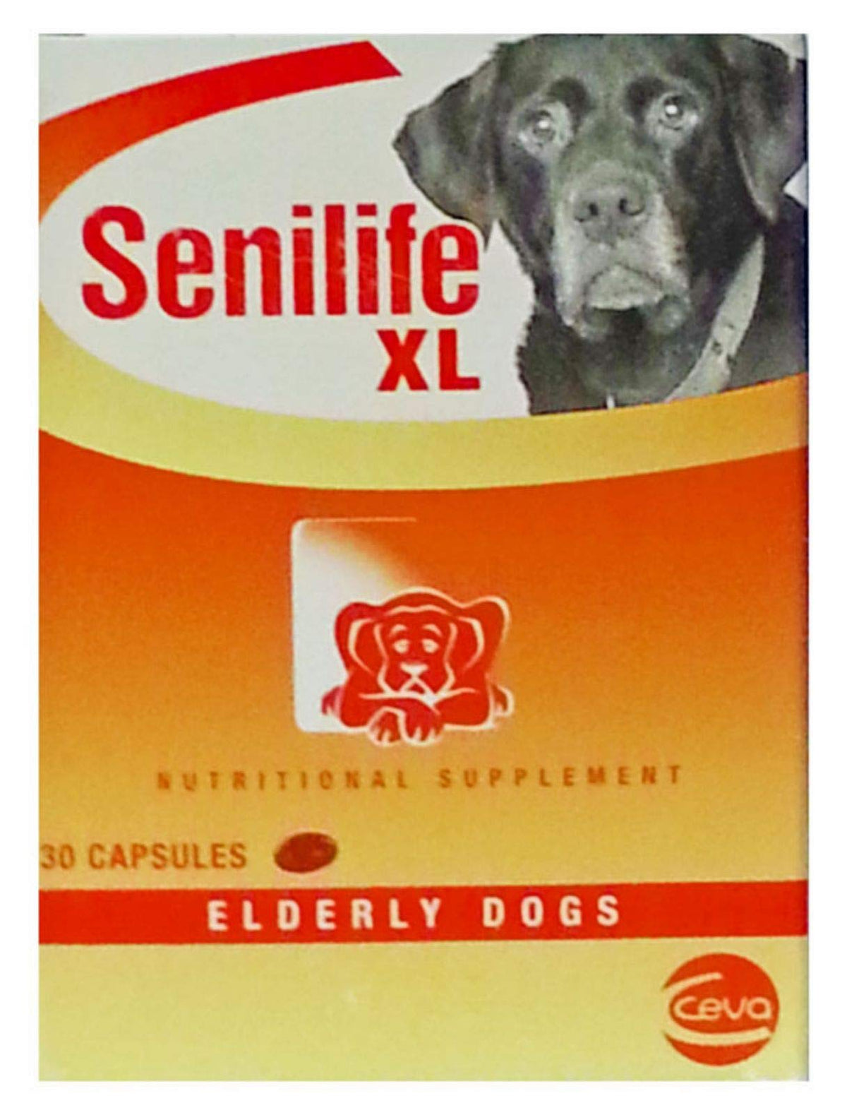 Ceva Senilife XL capsules bottle for canine brain aging support and long-term use