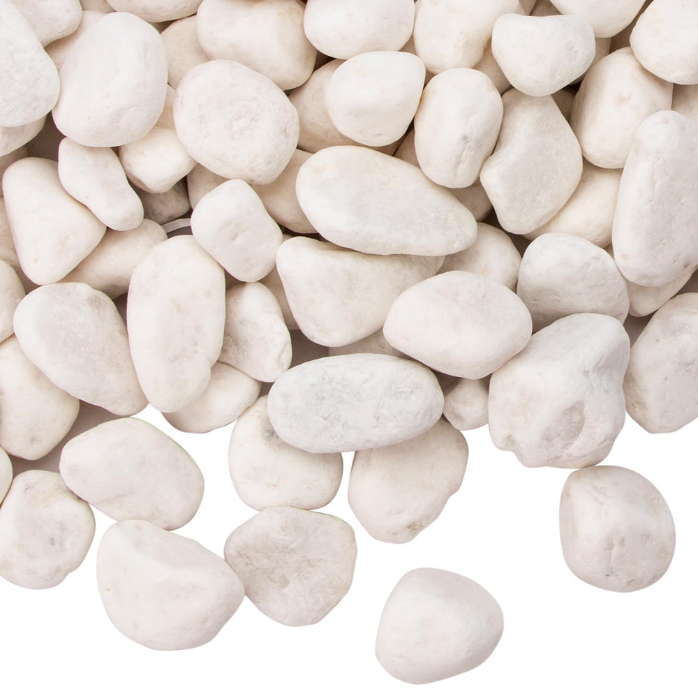 CFKJ white river rock ideal for aquariums and terrariums