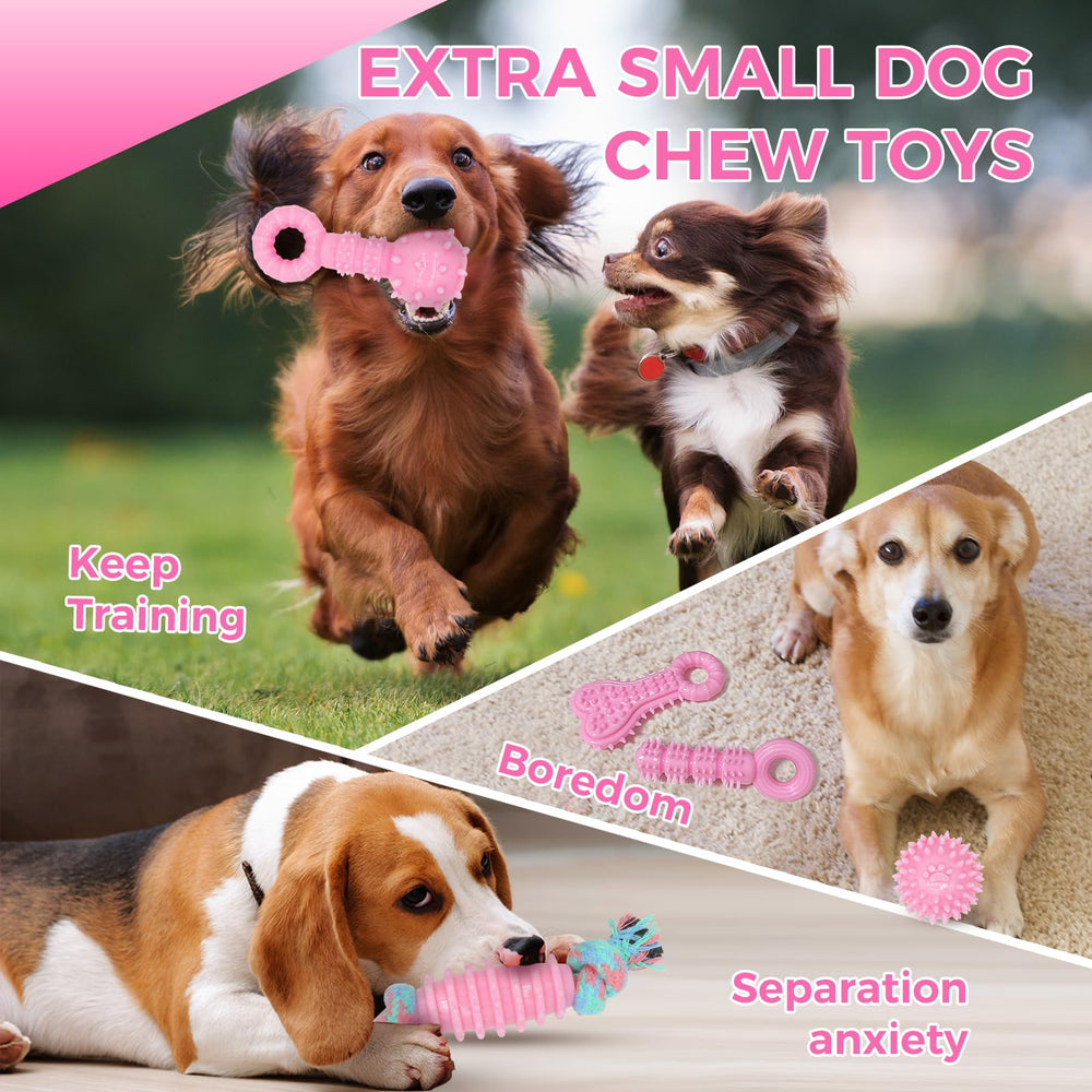 CGBD puppy toys make a thoughtful gift for dog owners