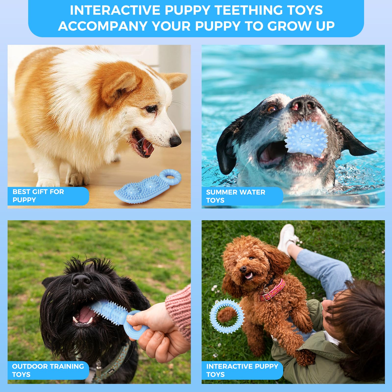 CGBD blue gift pack puppy toys promote play and bonding.