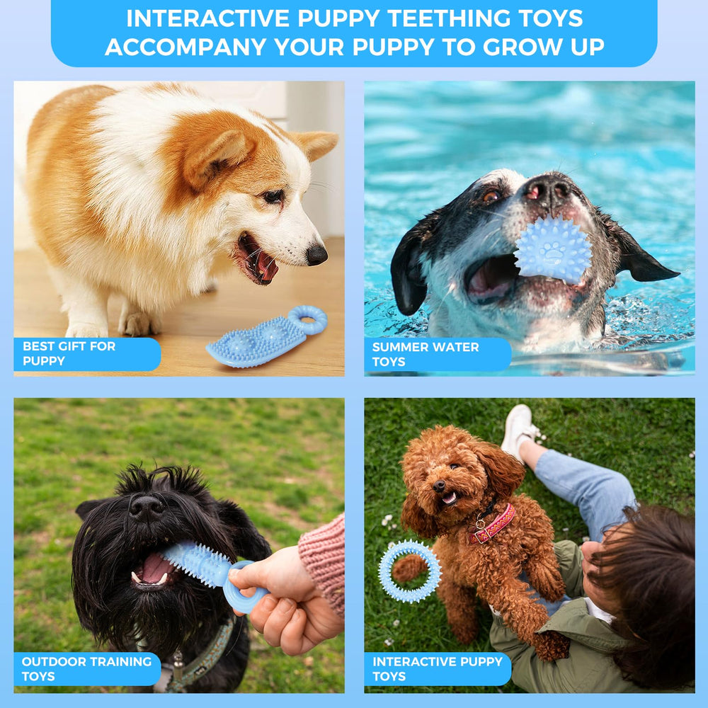 CGBD blue gift pack puppy toys promote play and bonding.