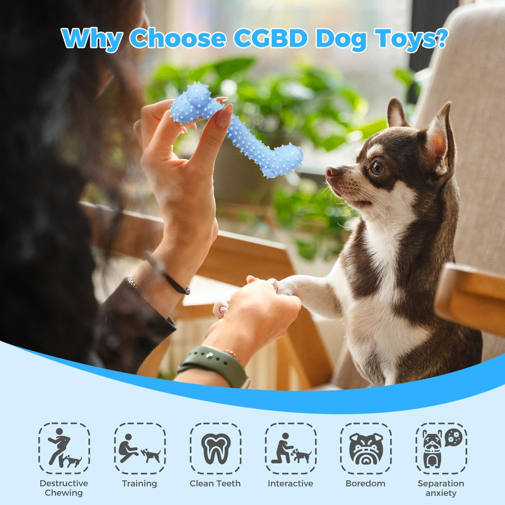CGBD puppy toy with molar bumps supports gum massage during play.
