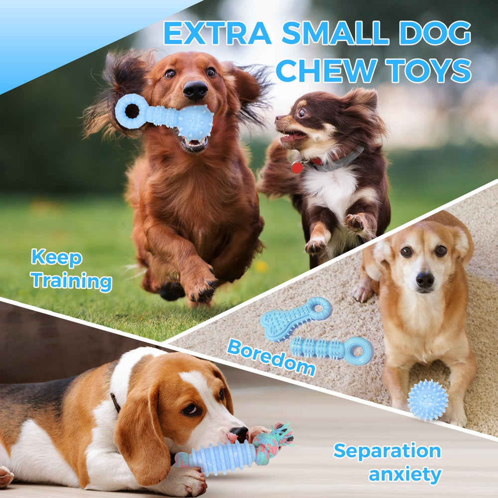 CGBD puppy toys provide variety and healthy distraction for bored puppies.