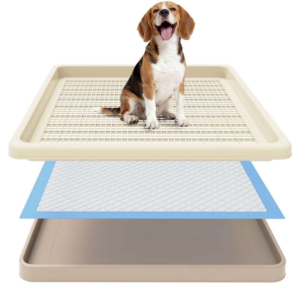 CH24Globall two-layer mesh top protects paws and reduces pad tearing during indoor use