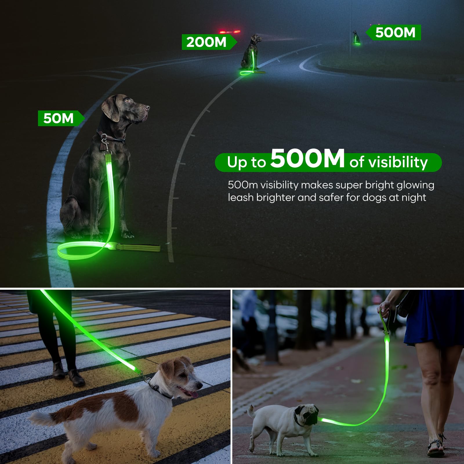 ChalkLit 360 swivel-clasp leash reduces tangles during walks.