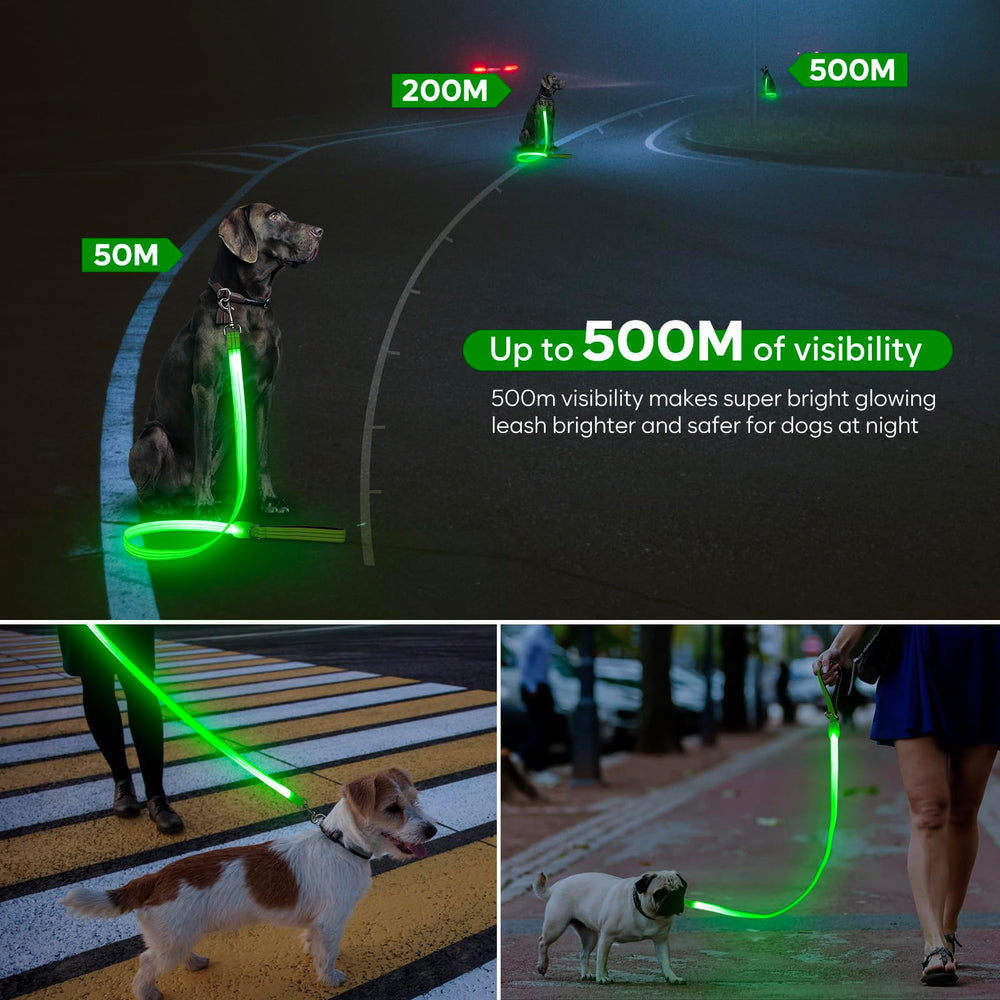 ChalkLit 360 swivel-clasp leash reduces tangles during walks.