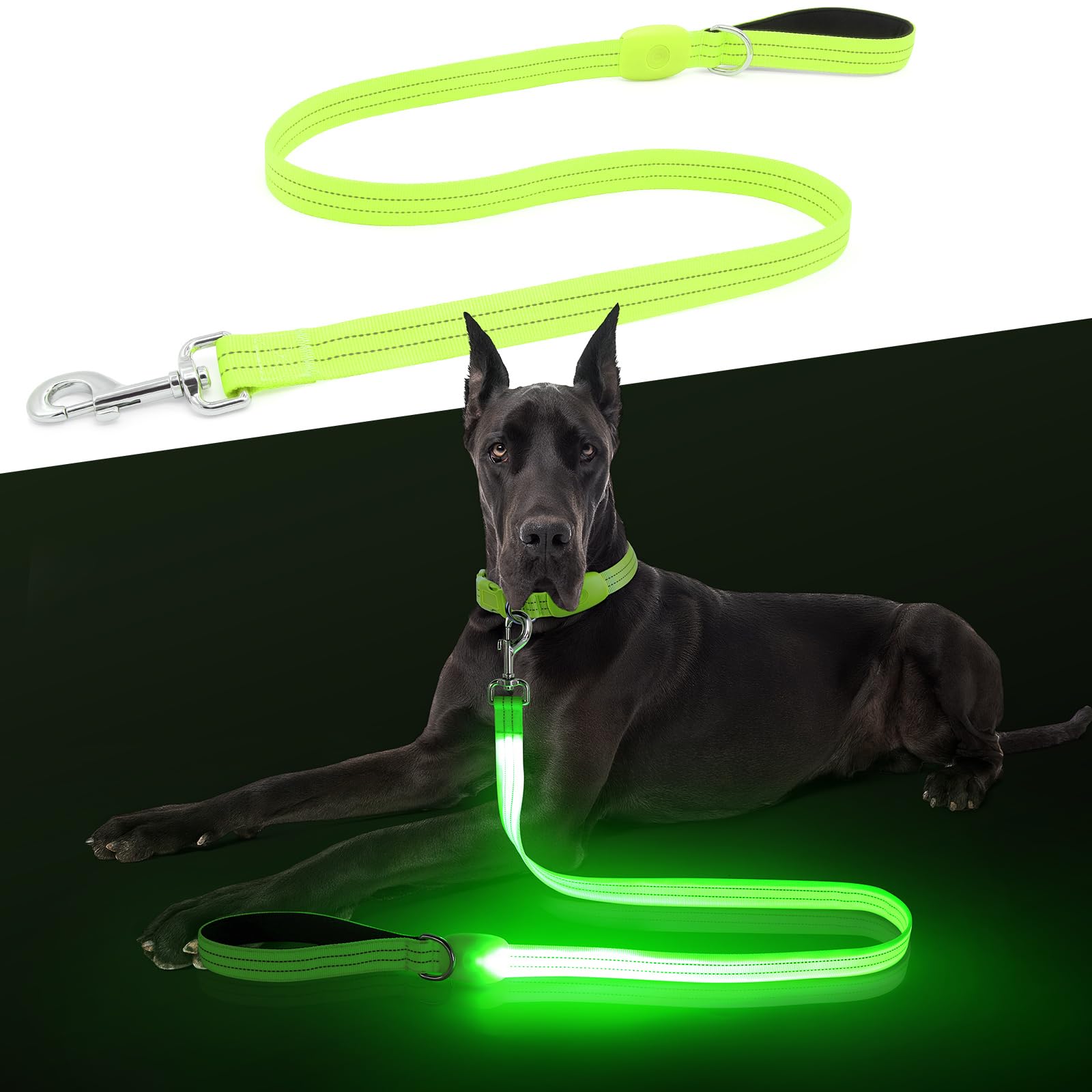 ChalkLit LED dog leash 4ft for bright nighttime visibility.