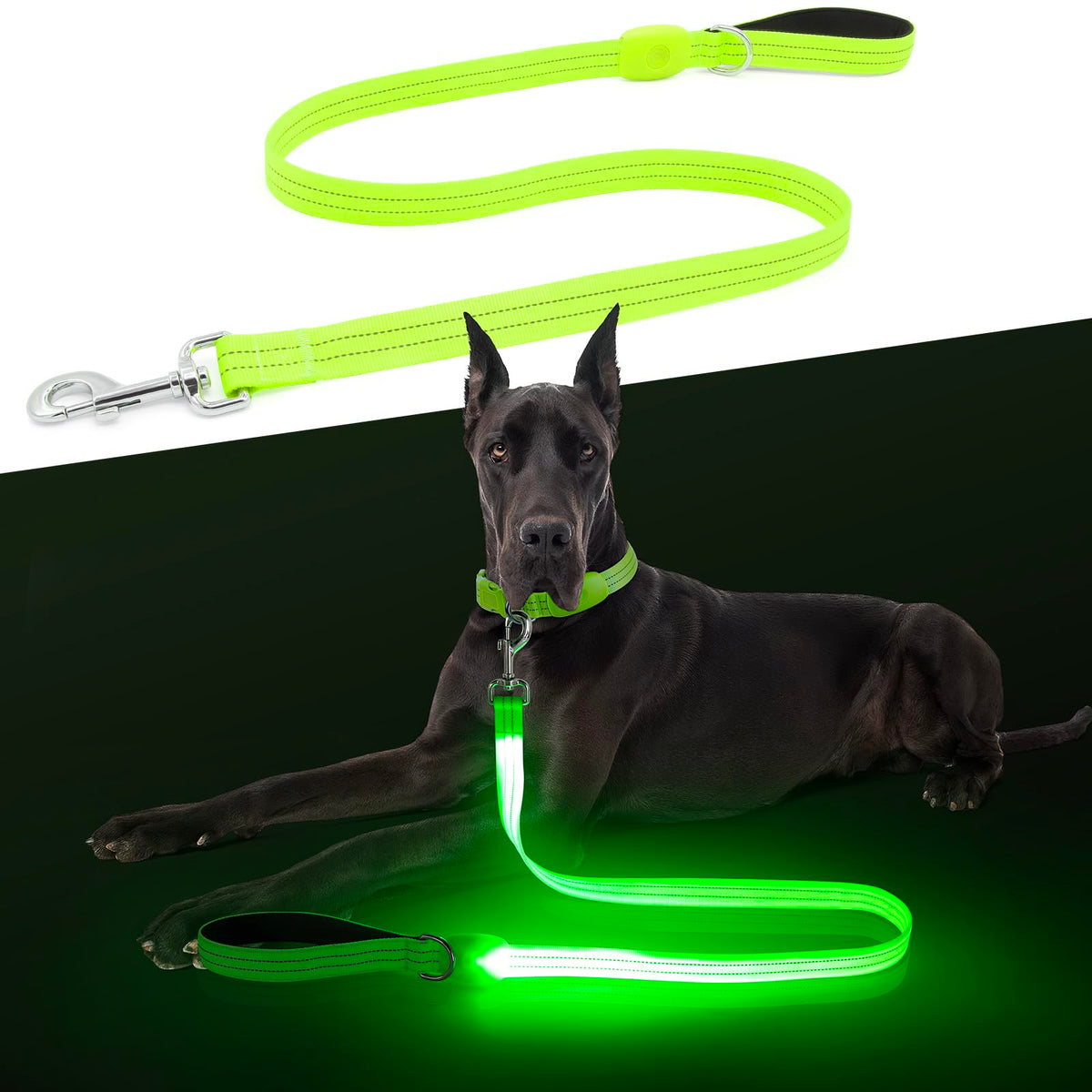 ChalkLit LED dog leash 4ft for bright nighttime visibility.