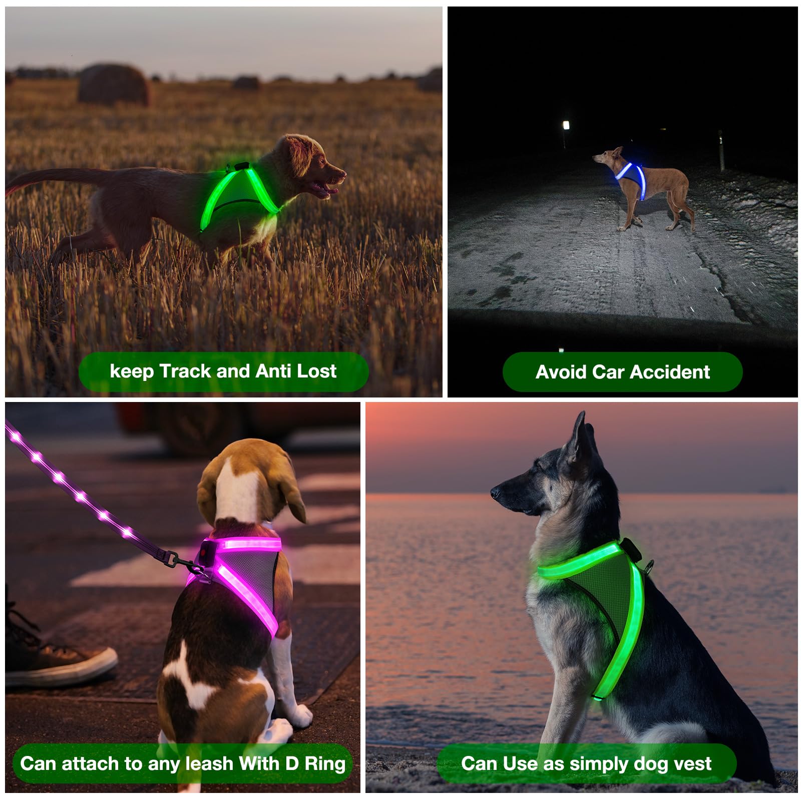 ChalkLit breathable mesh vest keeps dogs cool during walks and training
