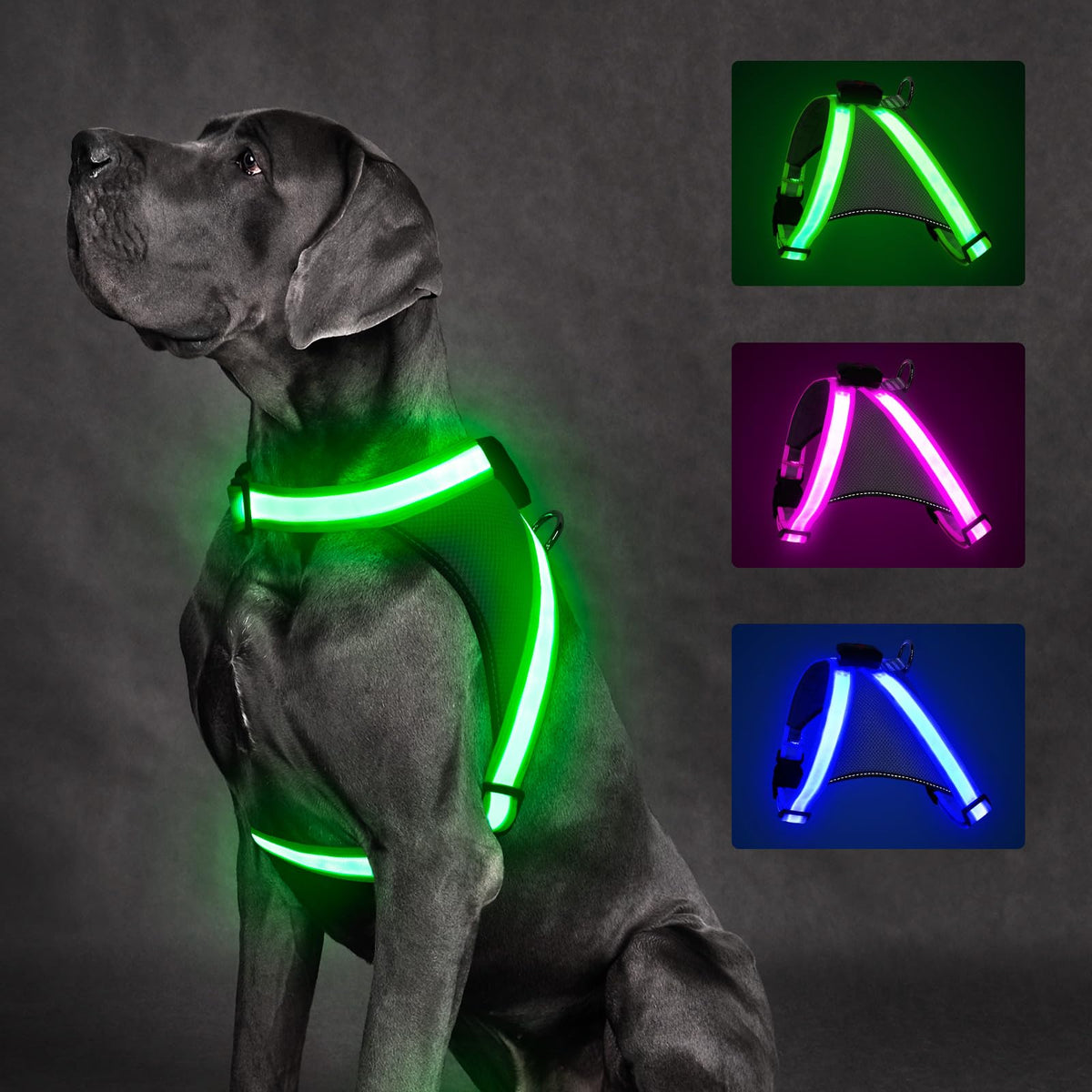 ChalkLit front view of the light up dog harness for night visibility.