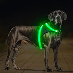 ChalkLit light up dog harness front view showing high visibility for night walks