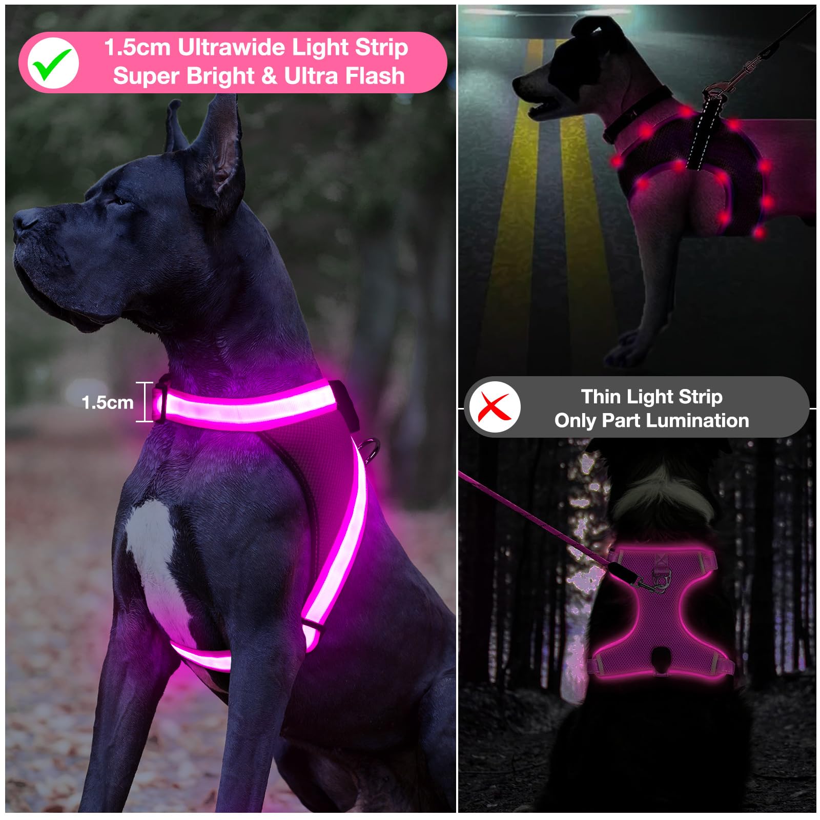 ChalkLit pink LED harness with no-pull buckle for easy on/off during evening strolls