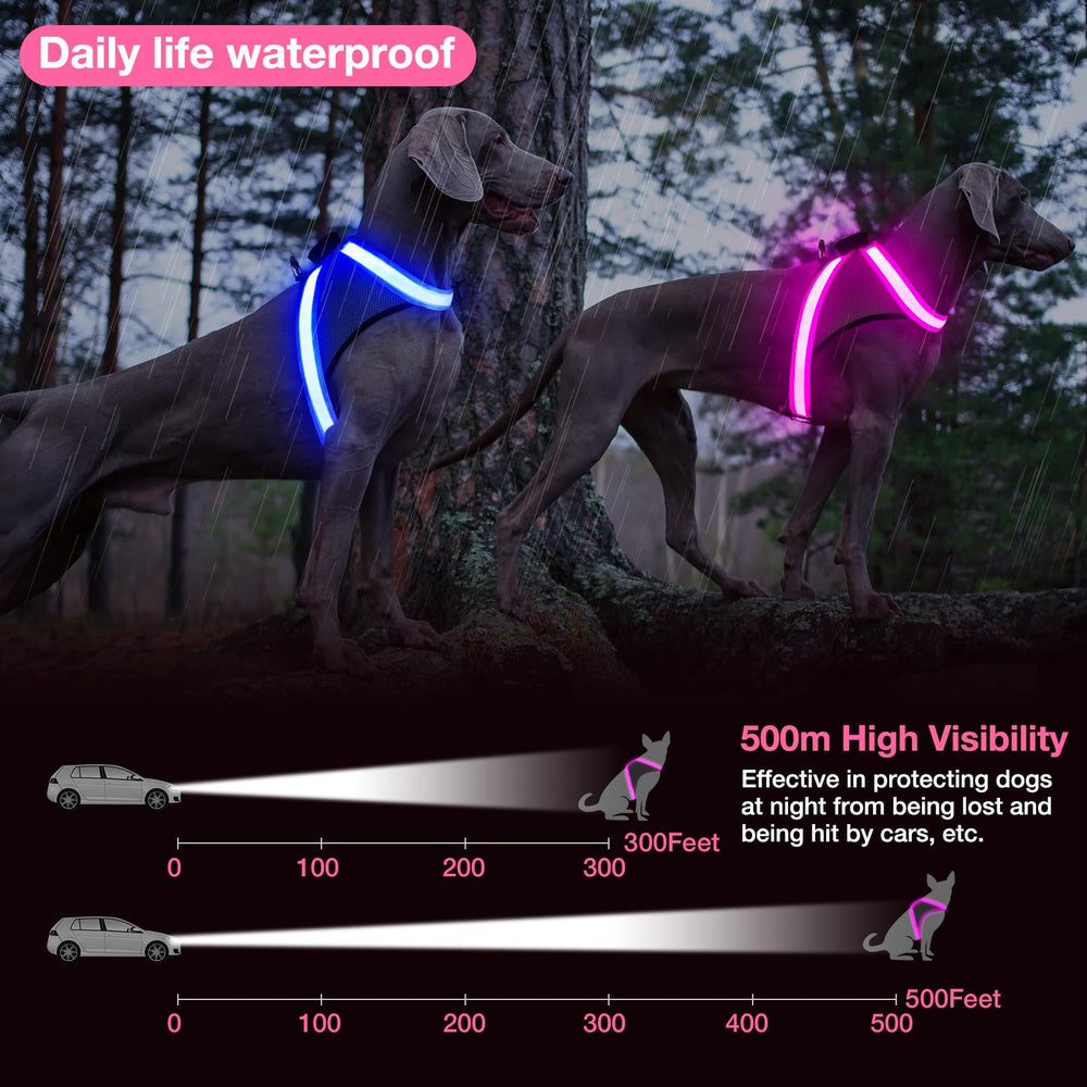 ChalkLit pink harness with removable battery for easy cleaning after night walks