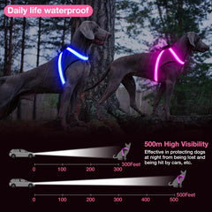 ChalkLit pink harness with removable battery for easy cleaning after night walks