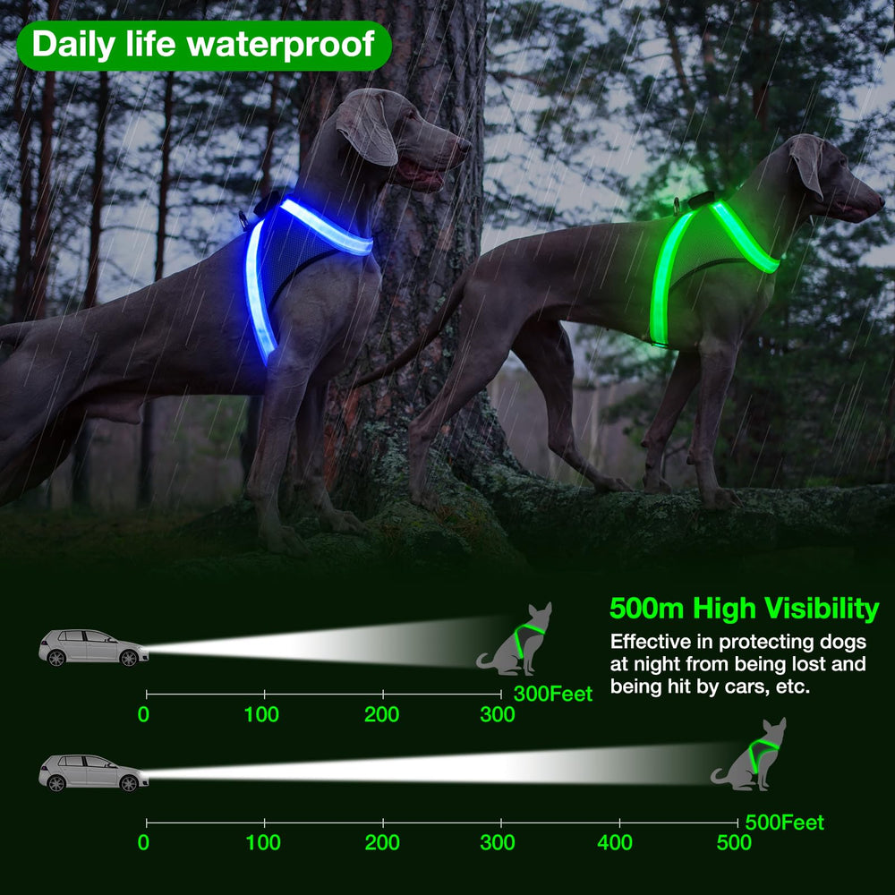 ChalkLit no-pull harness supports safe outdoor adventures.
