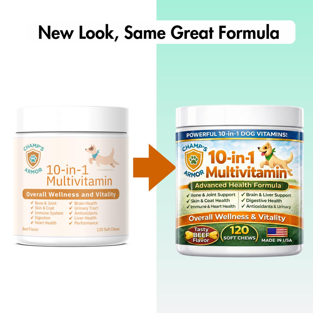Champ's Armor daily chew supports immune health and overall vitality.