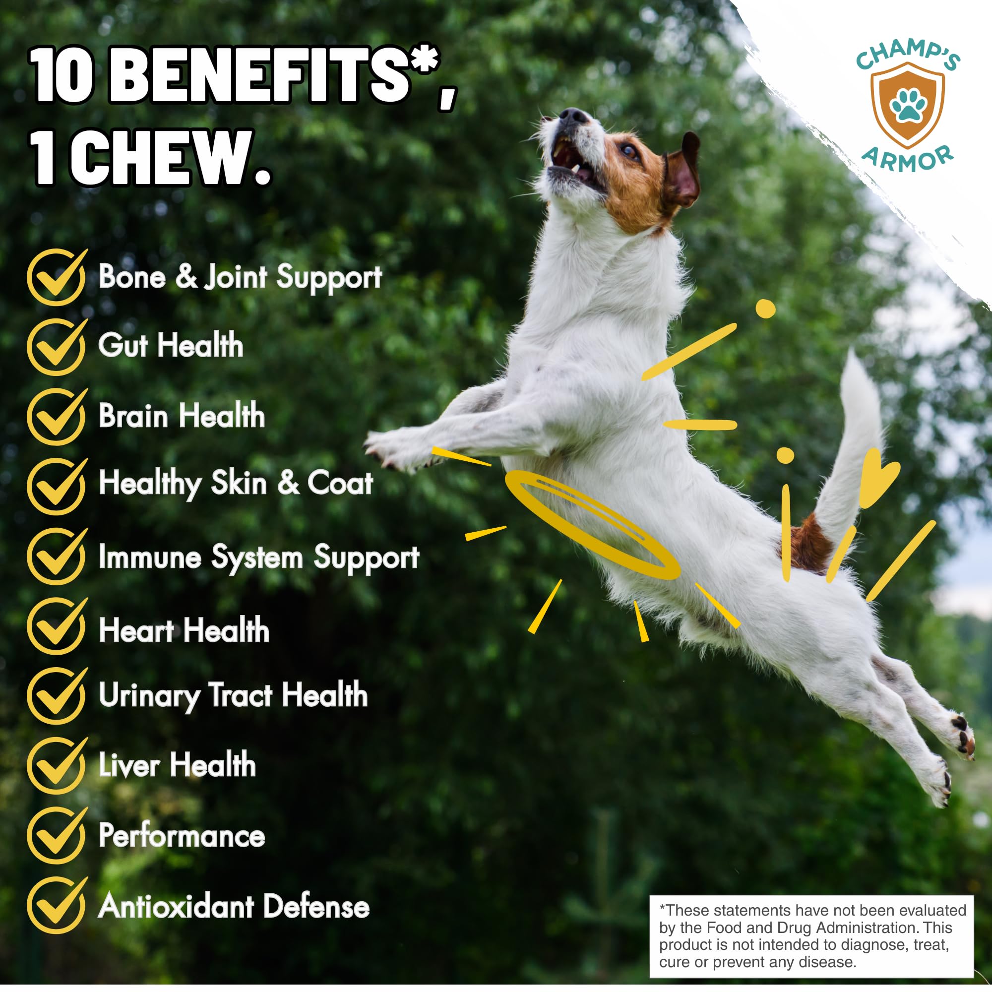 Champ's Armor dog multivitamin chews closeup promotes full-body wellness daily.