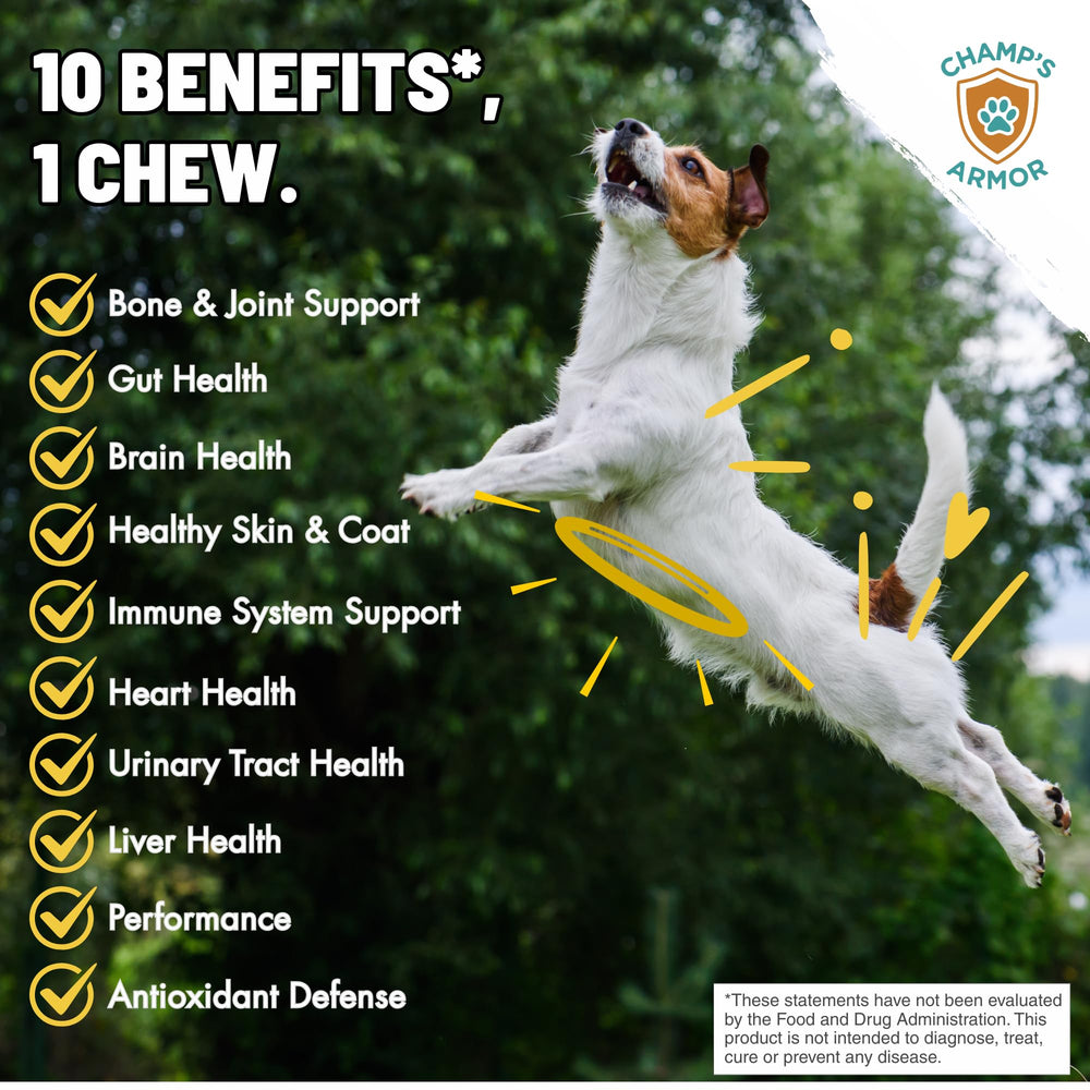 Champ's Armor dog multivitamin chews closeup promotes full-body wellness daily.